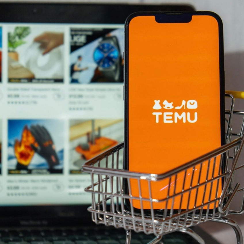 FIVE THINGS TEMU CAN TEACH E-COMMERCE BUSINESSES