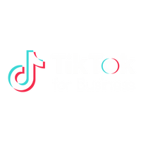 TikTok Ads